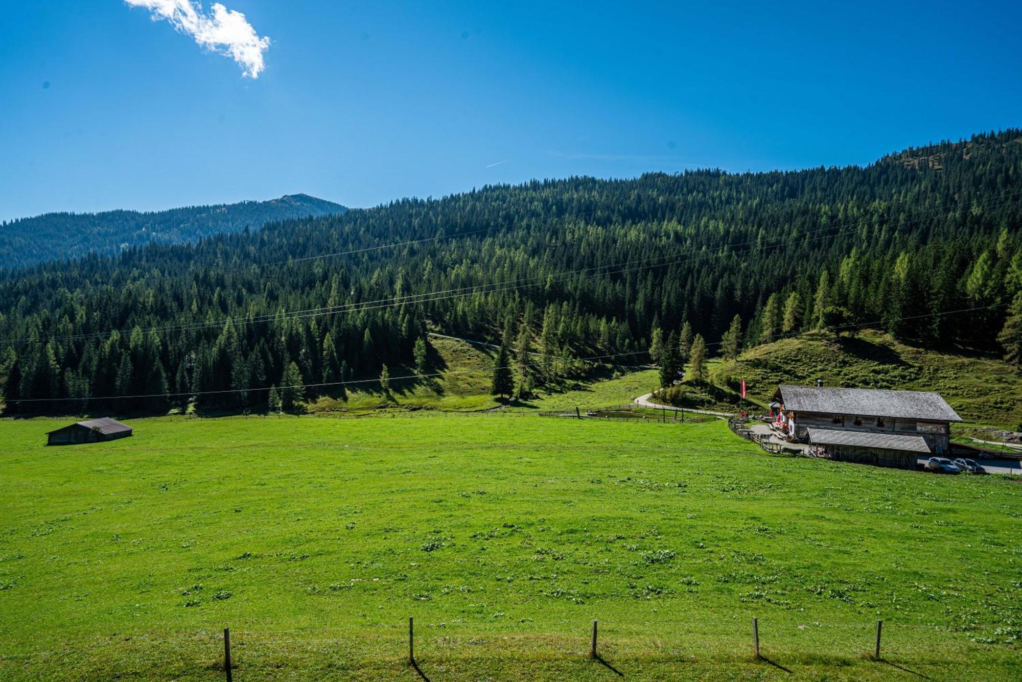 Mittereggalm 호텔 Mühlbach am Hochkönig 외부 사진